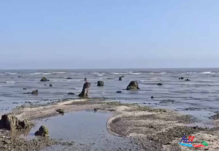 Azərbaycanda dəniz geri çəkildi, meşə zolağı ortaya çıxdı - QEYRİ-ADİ HADİSƏ